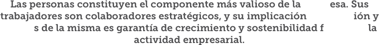 Las personas constituyen el componente más valioso de la empresa. Sus trabajadores son colaboradores estratégicos, y su implicación en la Misión y Valores de la misma es garantía de crecimiento y sostenibilidad futura de la actividad empresarial.